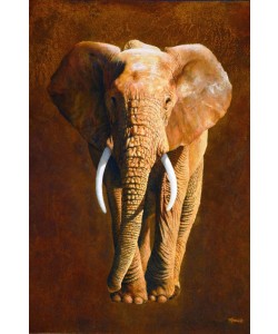 Jean-Marc Chamard, Elephant 04