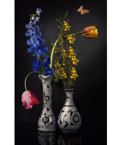 Sander Van Laar, Flower Creation 2