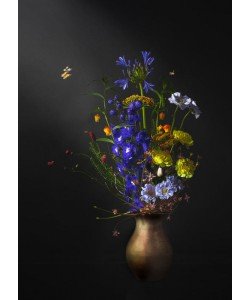 Sander Van Laar, Flower Creation 5