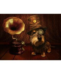 Babette, Steampunk Dog