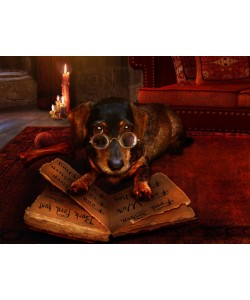 Babette, The book of Dogtalk