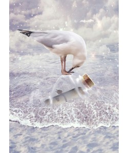 Babette, Bottle & Seagull