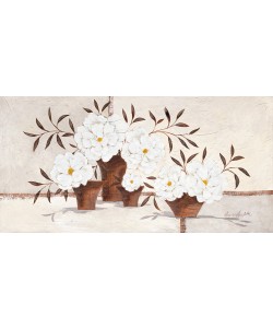 Claudia Ancilotti, Light Bloom