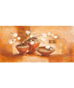 Claudia Ancilotti, Giulietta