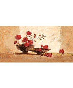 Claudia Ancilotti, Barbados