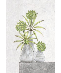 Claudia Ancilotti, Green Pearls