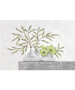 Claudia Ancilotti, Green Lilies