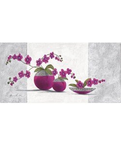 Claudia Ancilotti, Scarlett