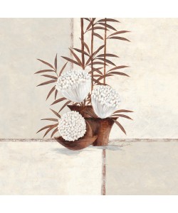 Claudia Ancilotti, Bamboo & Bloom