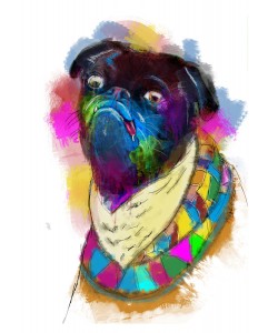 Sander Van Laar, Dog