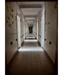 Dick Carlier, FORGOTTEN HOMES IV