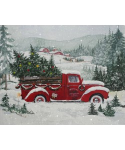 Renate Holzner, X-Mas-Truck Green Hill
