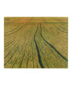 Rausch Michael Drüber (1995) (Radierung, handsigniert)