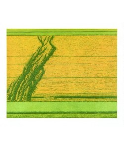 Rausch Michael Aufwärts (1995) (Radierung, handsigniert)