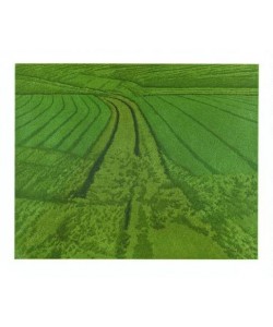 Rausch Michael Nach Hinten (1994) (Radierung, handsigniert)