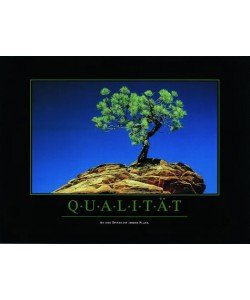 Motivation, Qualität