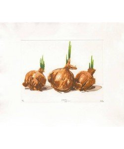 Rore Robert Zwiebeltrio (2000) (Radierung, handsigniert)