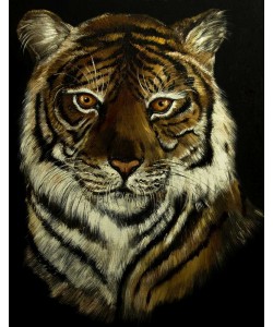 Conny Krakowski, Der mächtige Tiger