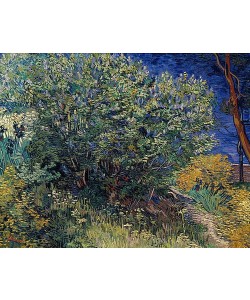 Vincent van Gogh, Flieder. 1889