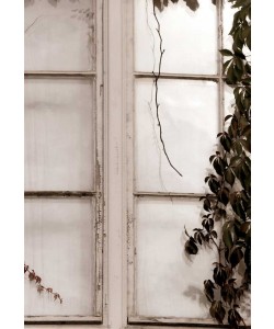 Carmen Varo, Das Fenster