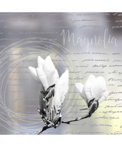 Carmen Varo, Magnolia