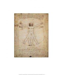 Leonardo da Vinci, Schema Delle Proporzioni (Offset)