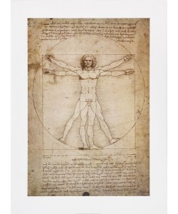 Leonardo da Vinci, Schema Delle Proporzioni (Offset)