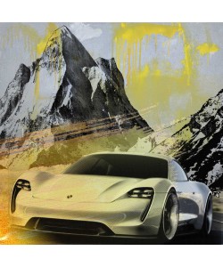 Peter Sander, Porsche Emotion 