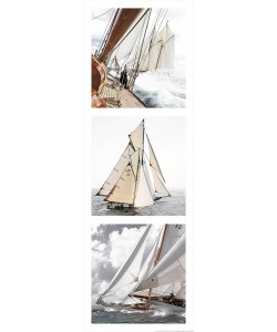 Philip Plisson, Les Voiles de Saint-Tropez - Voiliers de tradition