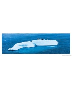Philip Plisson, Manchots et iceberg – Antarctique