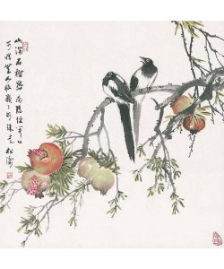 Songtao China Gao, Erntezeit