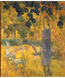 Paul Gauguin, Eingeborener bei der Obsternte. 1897