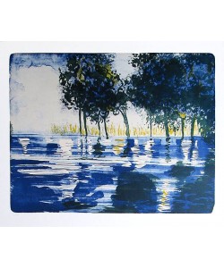 Stangl Reinhard Amazonas 4, 2007 (30) (Lithografie, handsigniert)