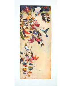 Votteler Jutta Naschende Kolibris (Radierung, handsigniert)