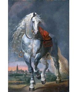 Flämisch, Trabender Schimmel in einer Flachlandschaft vor einer Stadt.