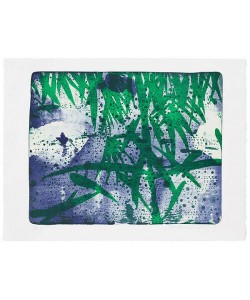 Stangl Reinhard Regenwald (30) (Lithografie, handsigniert)