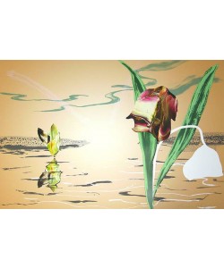 Eek Marcus Landschaft I  (30) (Lithographie, handsigniert, num.)