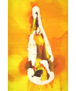 Richter Melanie Flasche auf orangem Hintergrund (Digitaldruck, handsigniert, nummeriert)