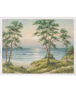 Hahn Willi Segelboote im Abendlicht II (Öl auf Leinwand)