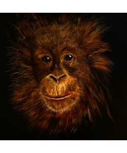 Conny Krakowski, Orang Utan Baby