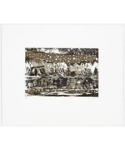 Doig Peter Night Fishing   (30) (Aquatinta-Radierung, handsigniert, nummeriert)