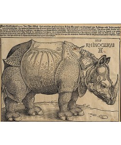 Albrecht Dürer, Nashorn. 1515. Für König Emanuel.