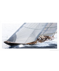 Guillaume Plisson, Voiles bordées - classic yacht