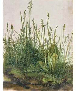 Albrecht Dürer, Das grosse Rasenstück. 1503