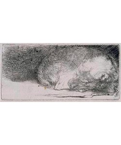 Rembrandt van Rijn, Der schlafende Hund. Um 1640.