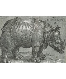 Albrecht Dürer, Rhinocerus. 1515