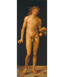 Albrecht Dürer, Adam. 1507