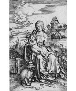 Albrecht Dürer, Maria mit der Meerkatze. Um 1498
