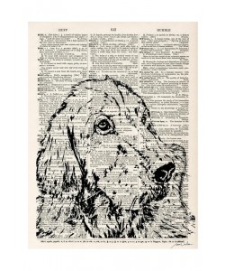 Tina Carlson, THE NEWSPAPER III
