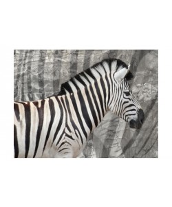 Diane Stimson, INTO THE WILD I